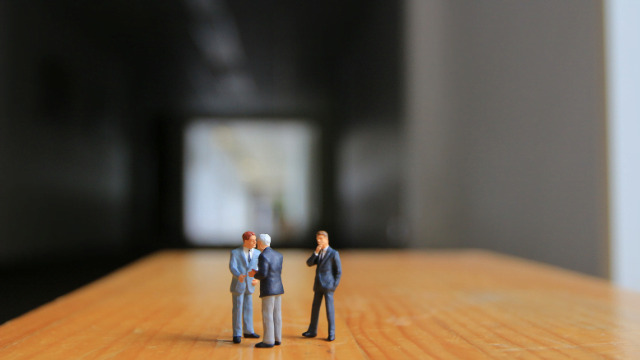 Minority Shareholders