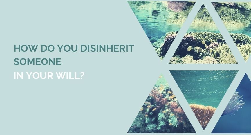 You are currently viewing How Do You Disinherit Someone in a Will?