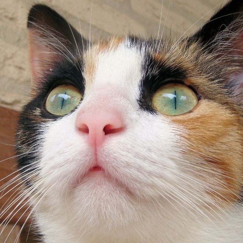 What happens if you did not name any beneficiaries in your policies and EPF accounts