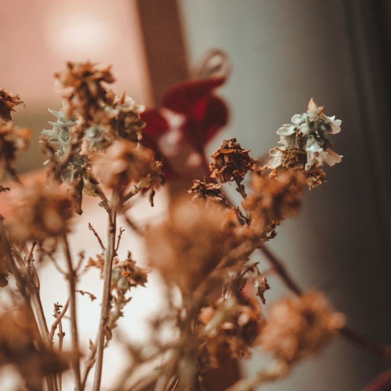 How much shares would I get in a divorce